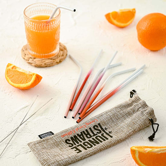 Stainless Steel Reusable Straw Set | Ocean Inspired (Pack of 8)
